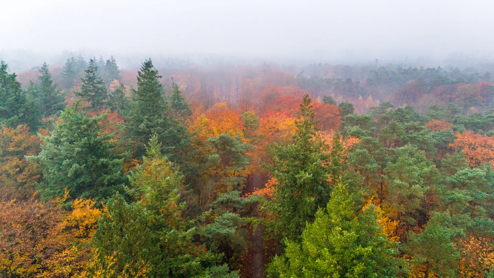 Inspirerend stilte-drieluik op de Veluwe