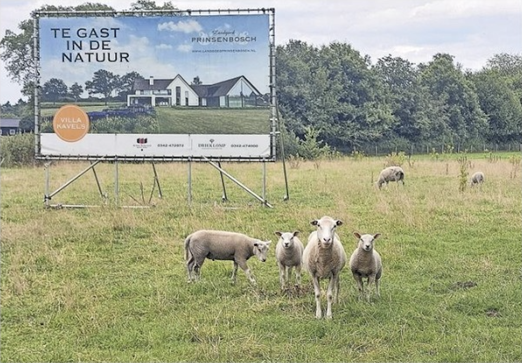 Natuurclubs op de bres voor das