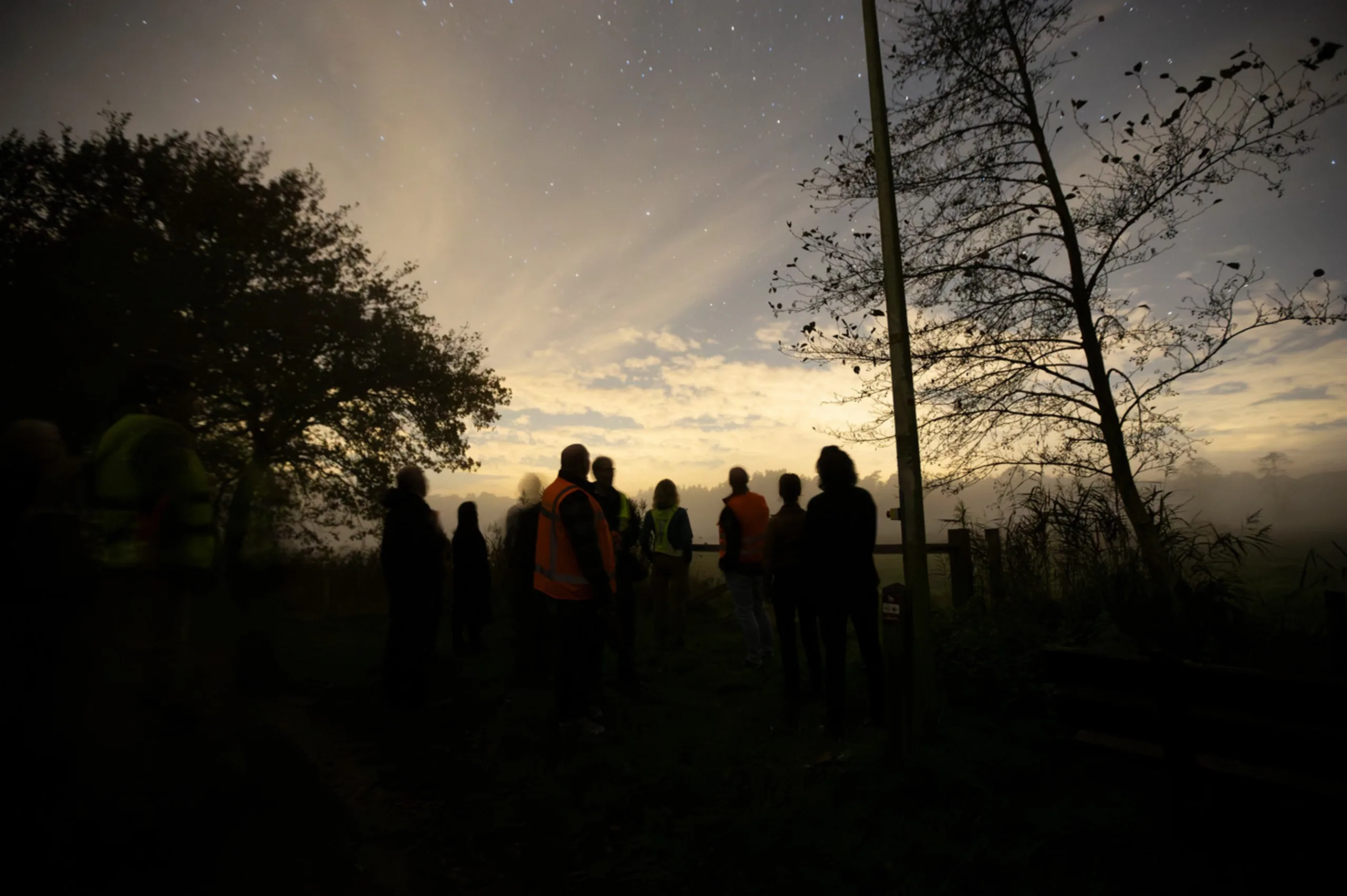 Hoe krijg je het weer donker op de Veluwe? ‘Het is net alsof iemand het dimlicht steeds omhoog draait’