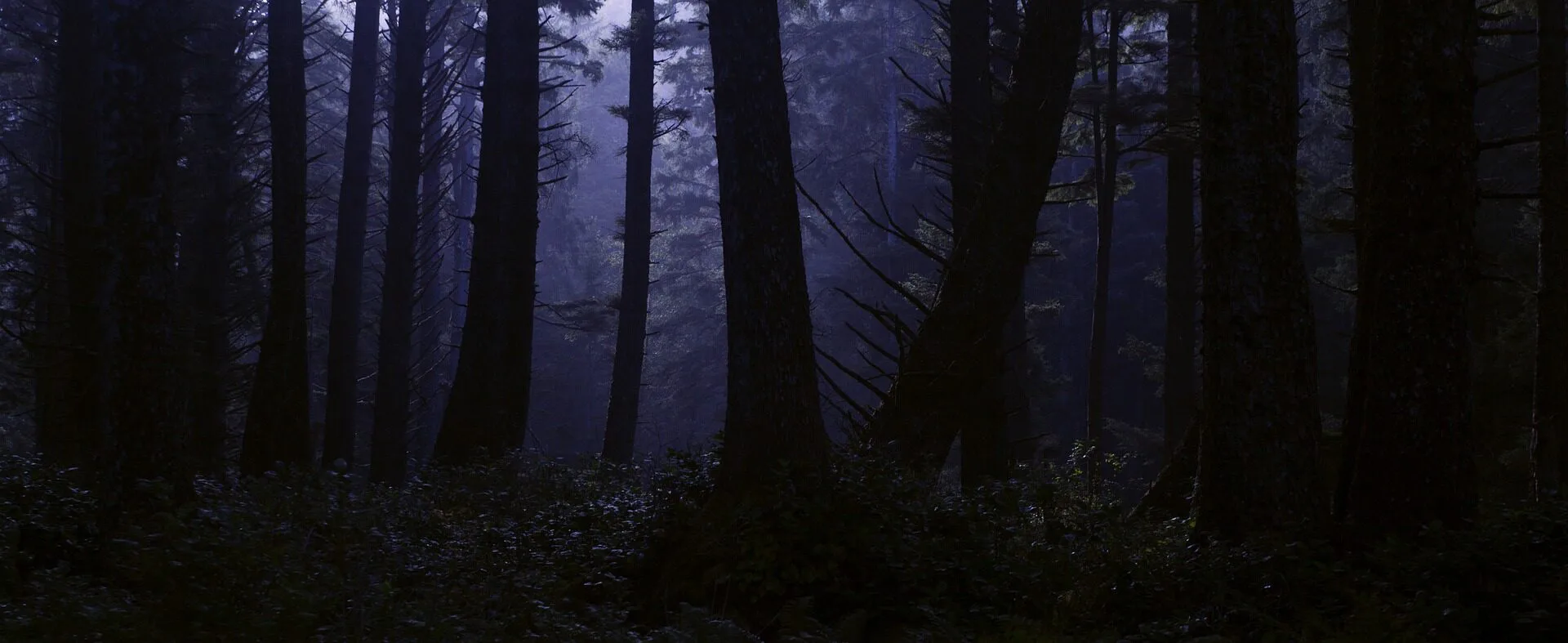 Minder licht, meer zien!